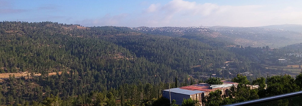 Ein Kerem Hotel Ierusalim Exterior foto